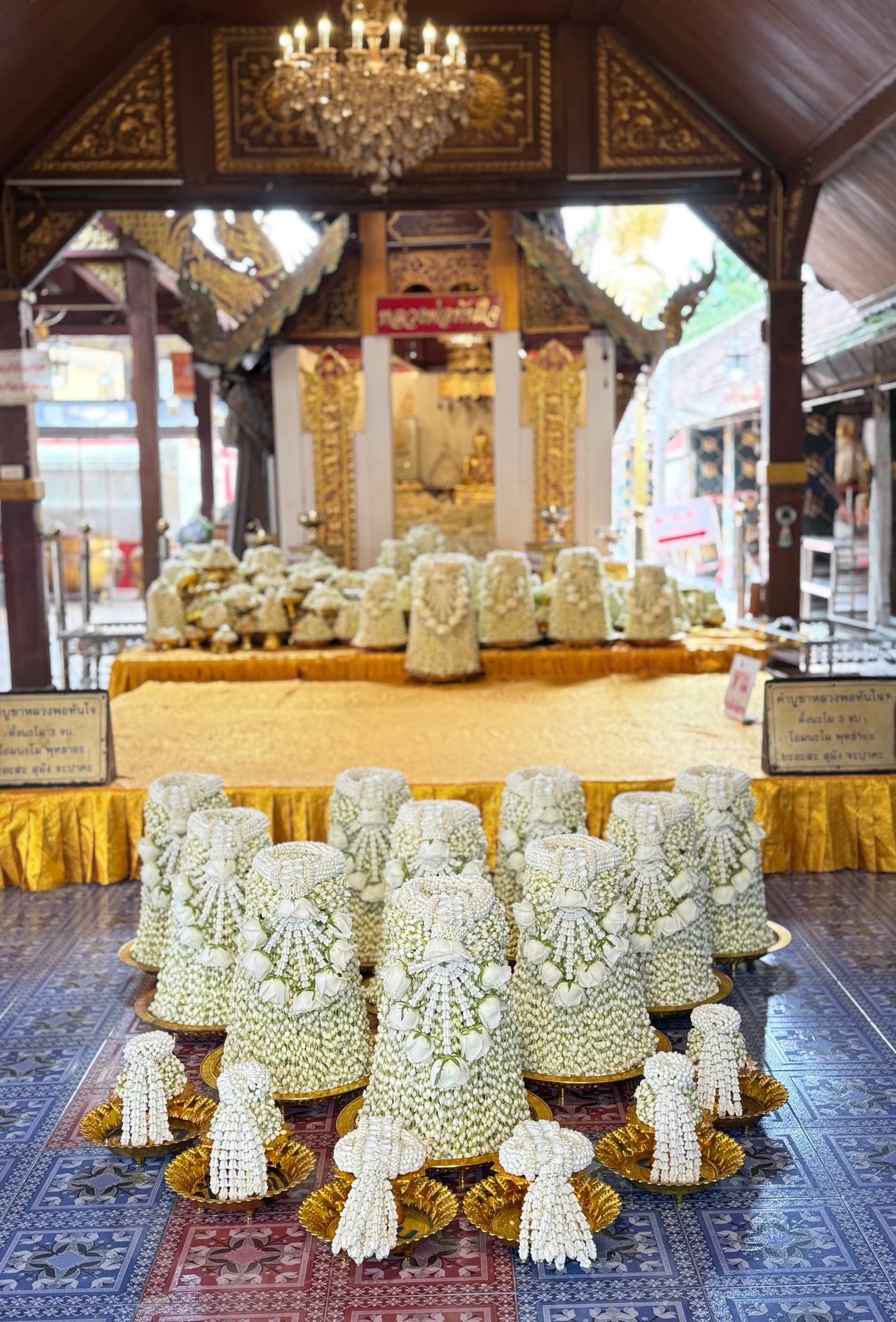 มะลิสูง 5 ซม. จำนวน 50,000 พวง 50,000 บาท